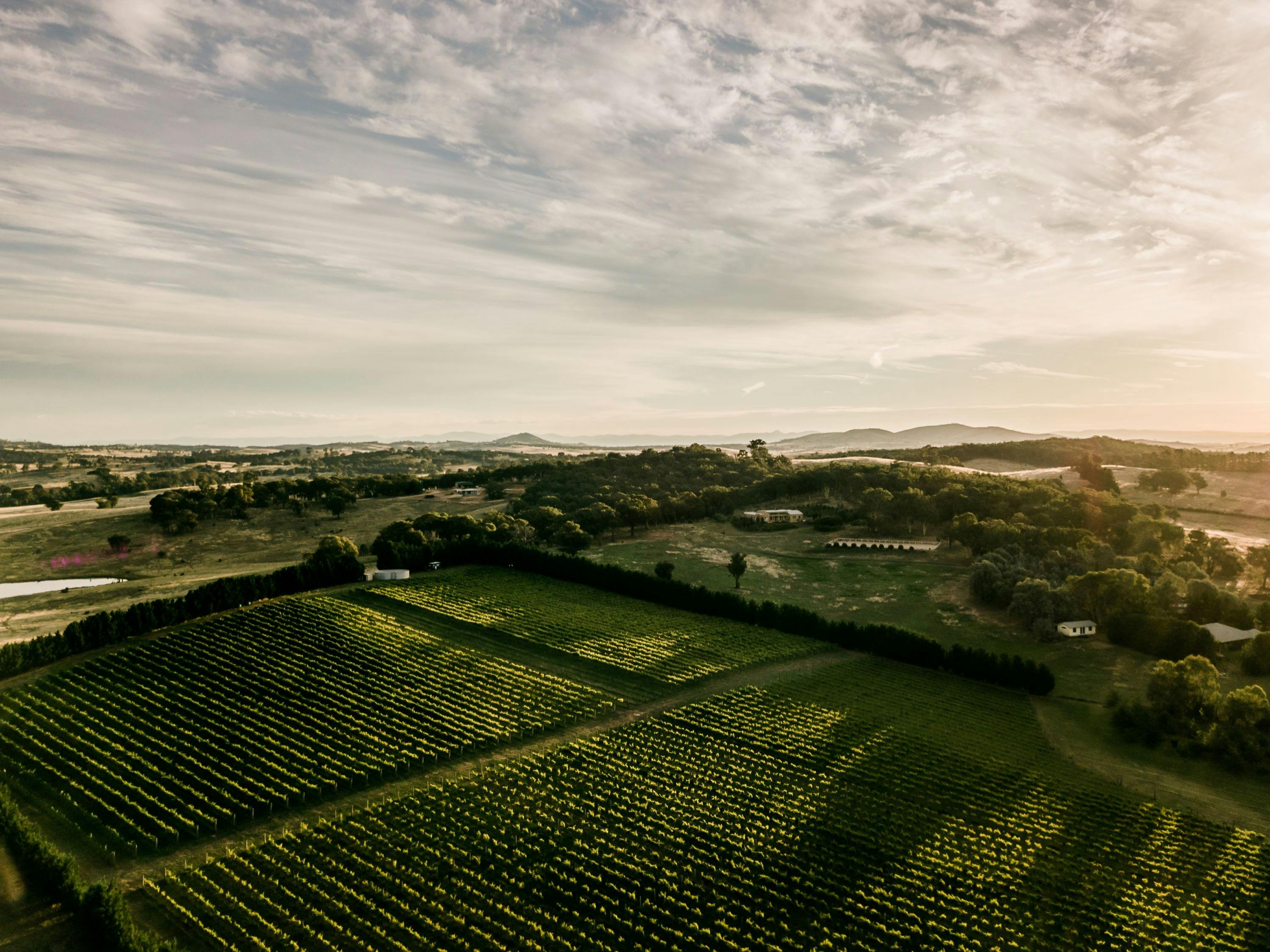 Tallagandra Hill Winery