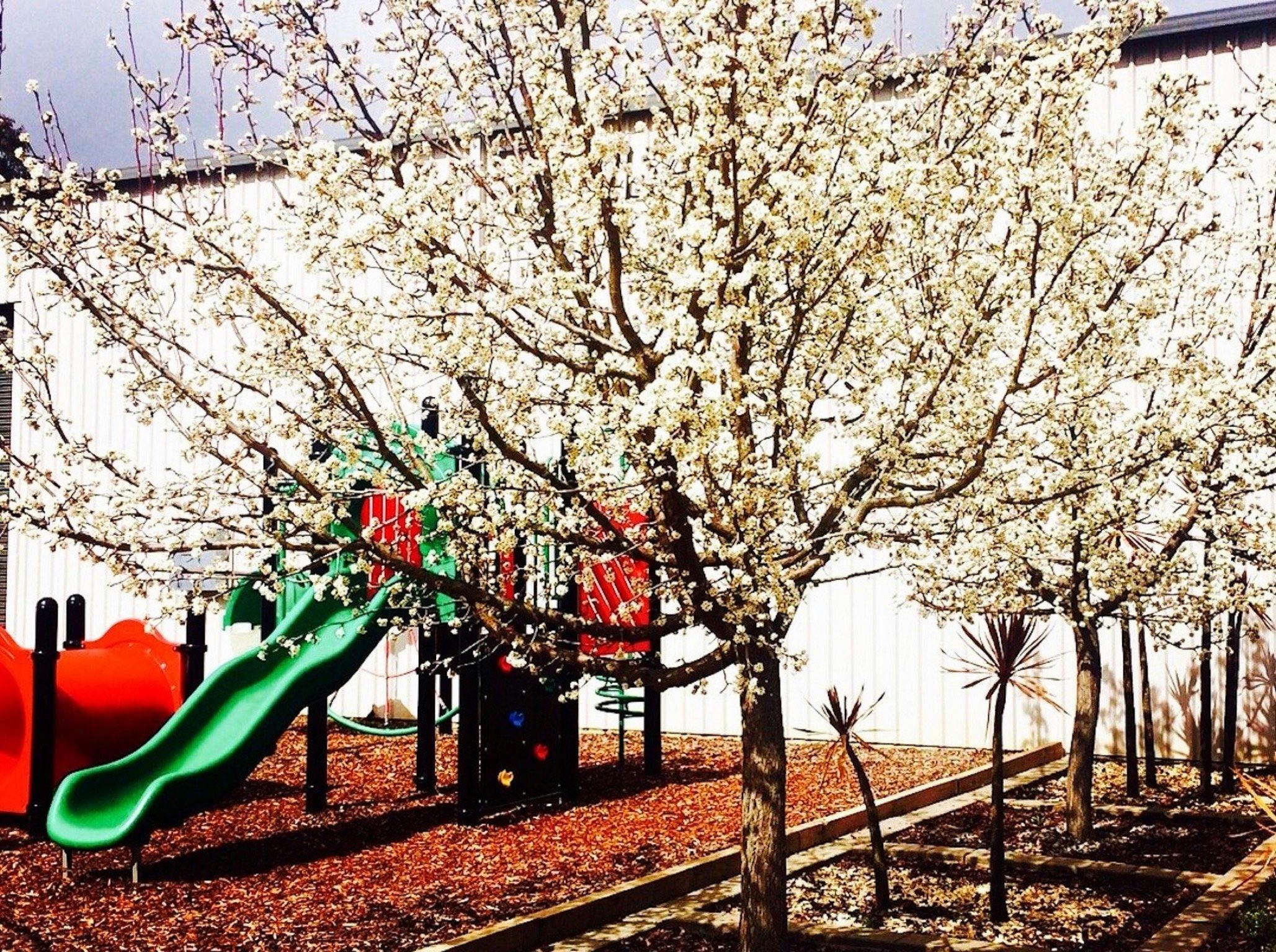 Playground in Spring