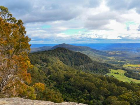 Cambewarra Range Nature Reserve