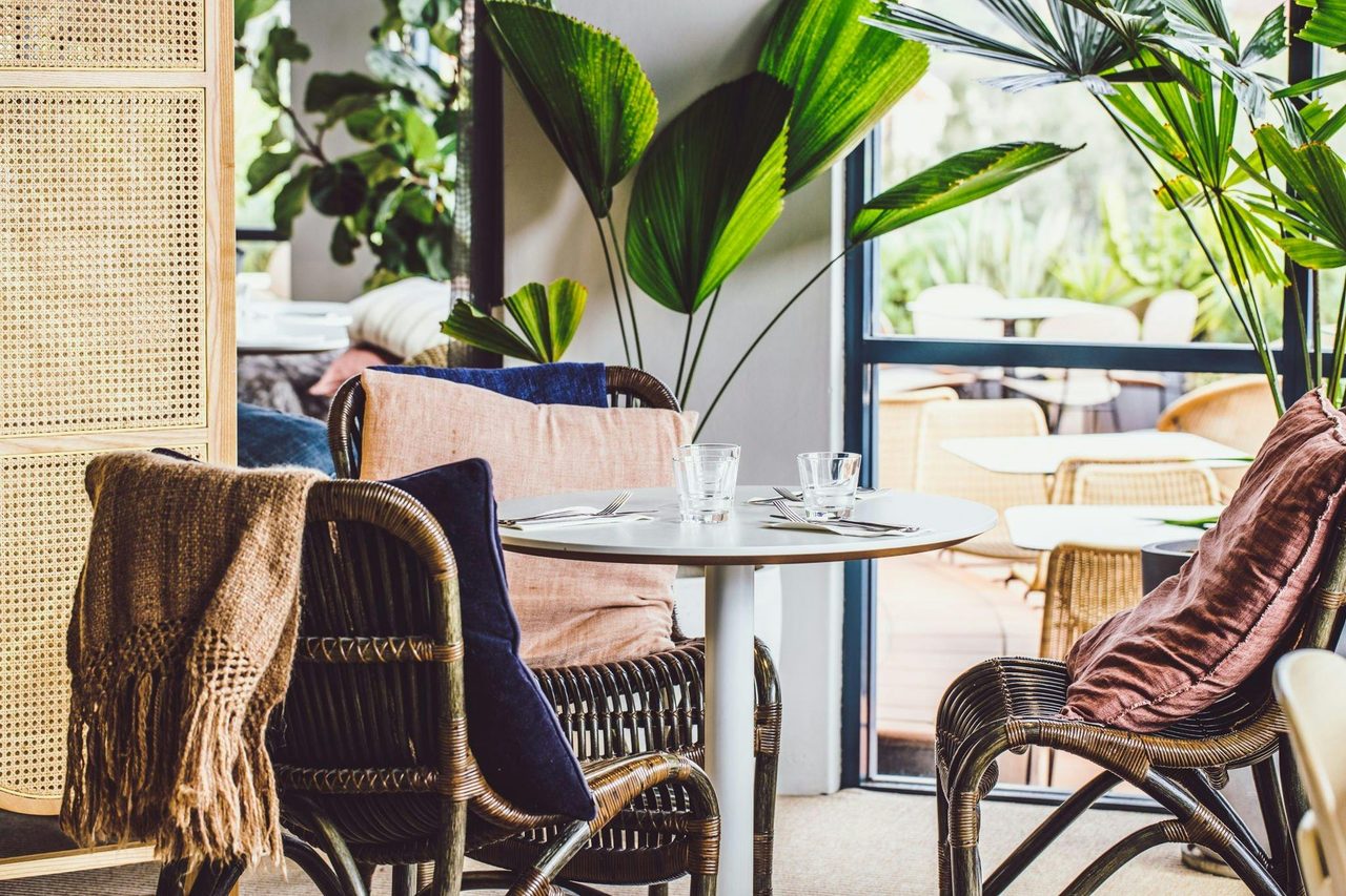 The Fernery Mosman