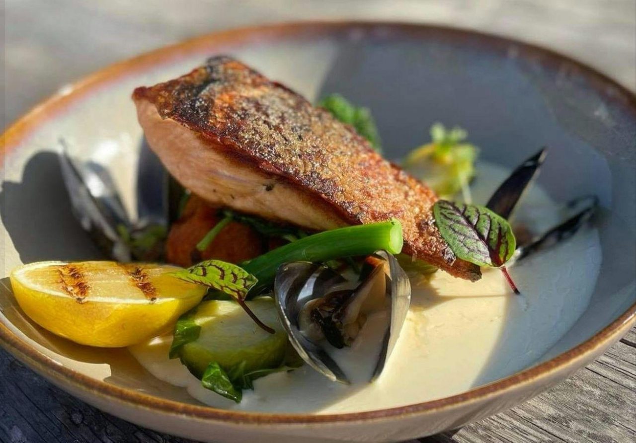 Salmon