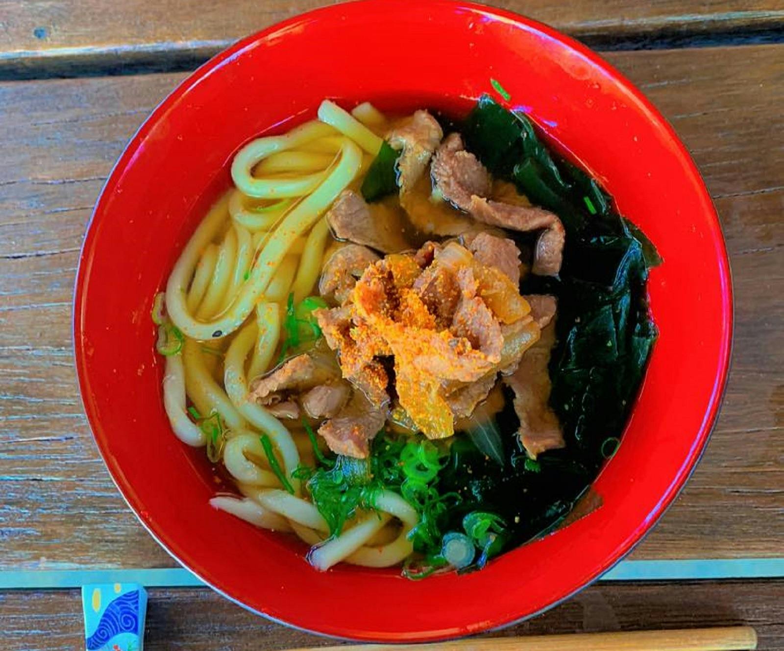 Udon Noodles