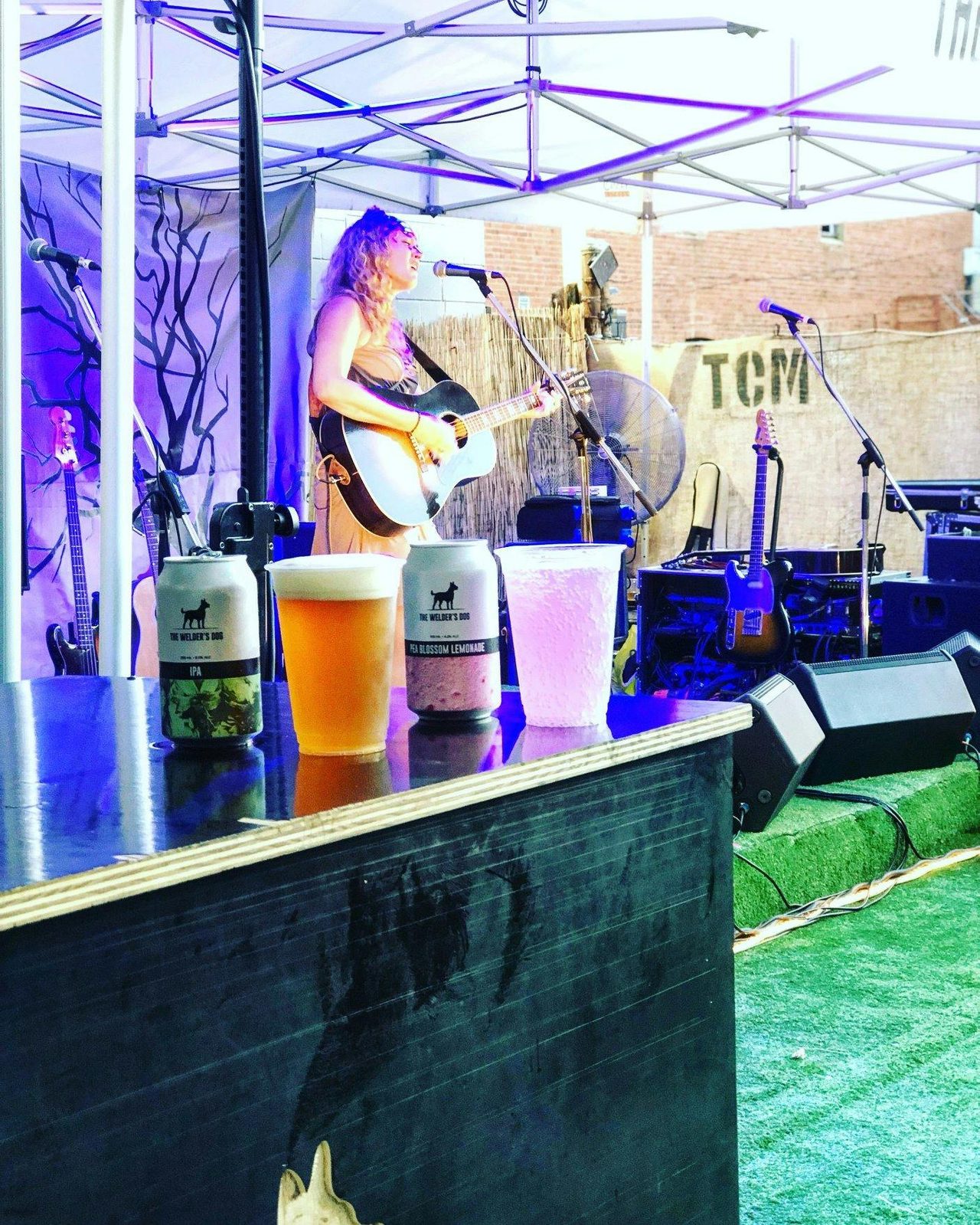 The Welder's Dog during Country Music Festival