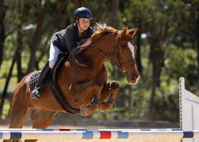 Centennial Equestrian