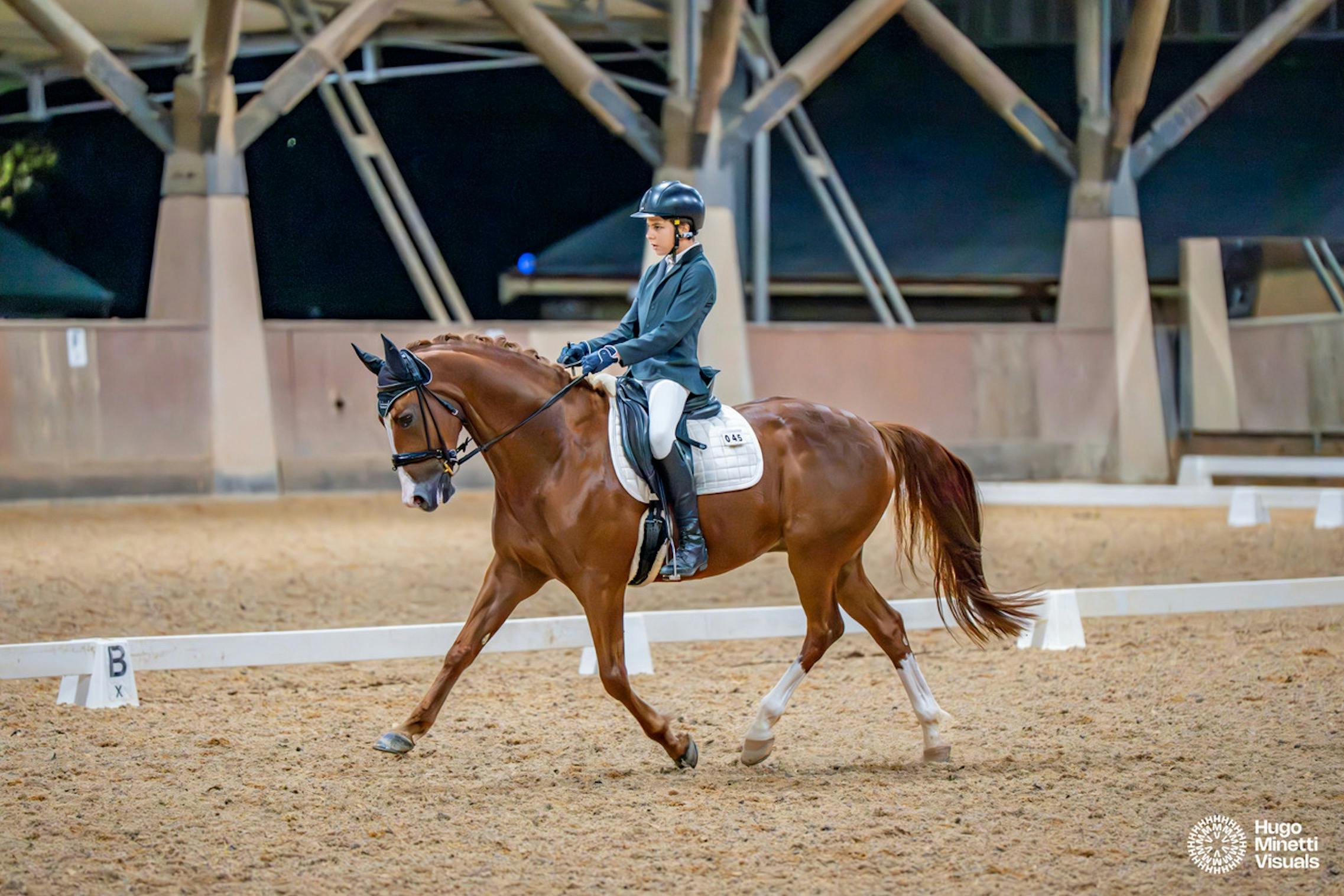 Dressage horse