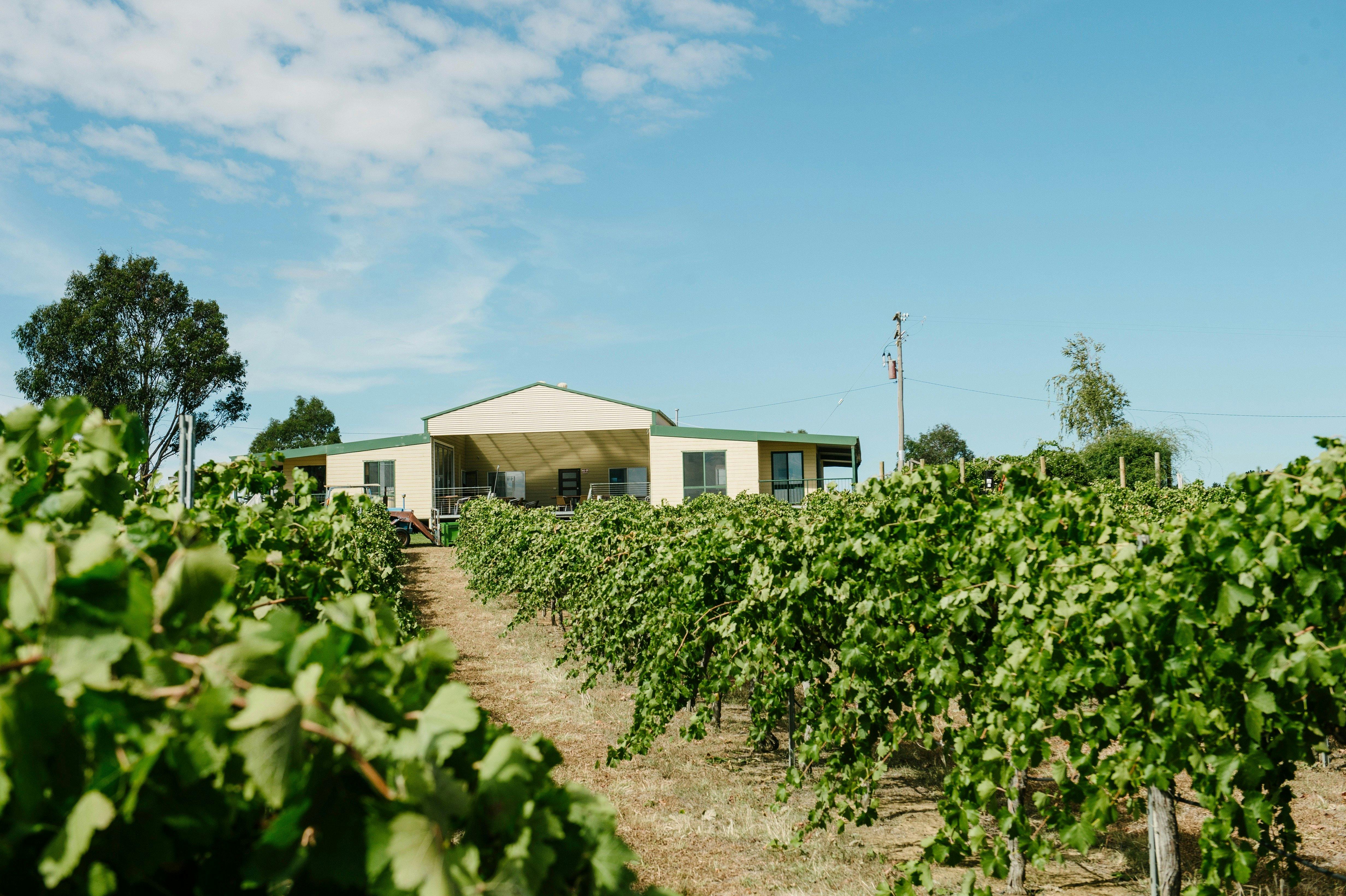 The Vintner's Daughter cellar door and vineyard
