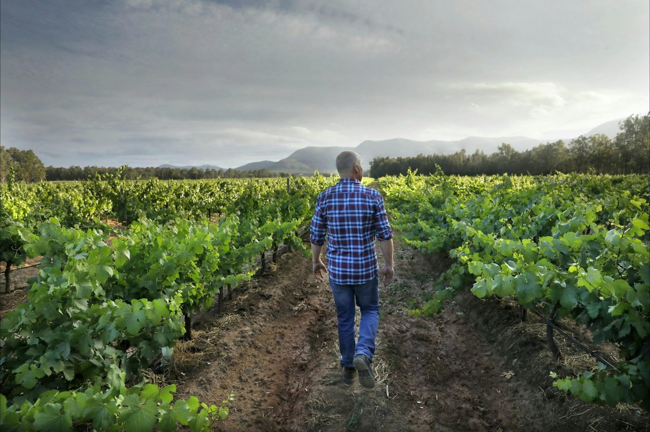 Thomas Wines Braemore Vineyard