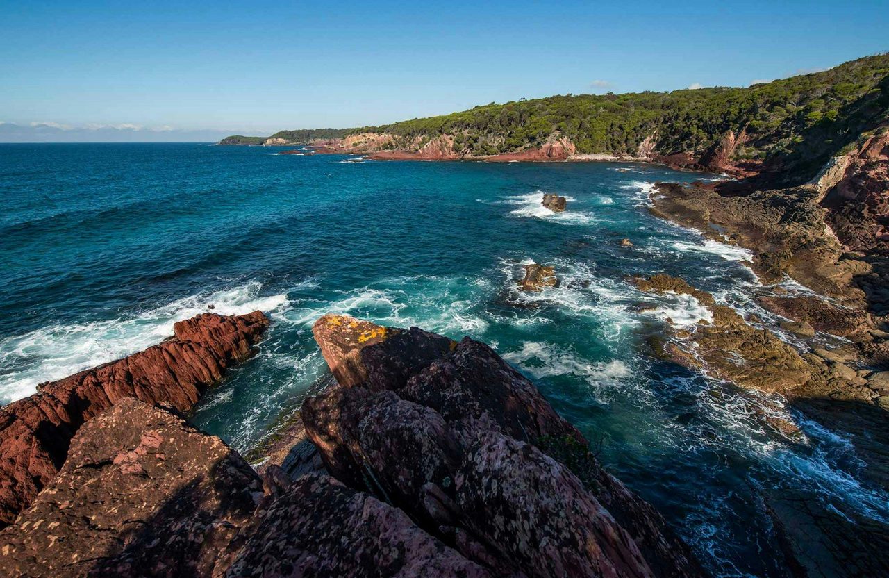 Boyds Tower to Saltwater Creek walking track, Ben Boyd National Park. Photo: John Spencer
