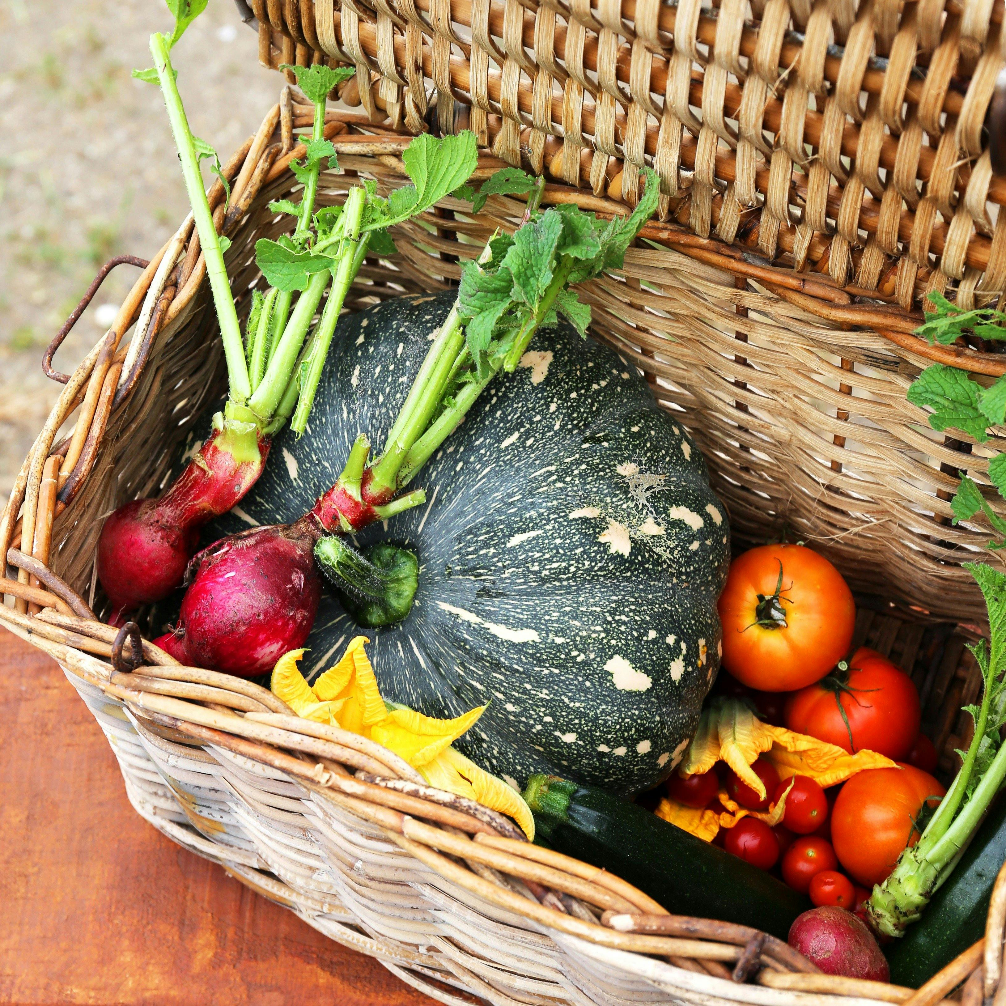 The Butter Factory Restaurant Pyree  Paddock to Plate