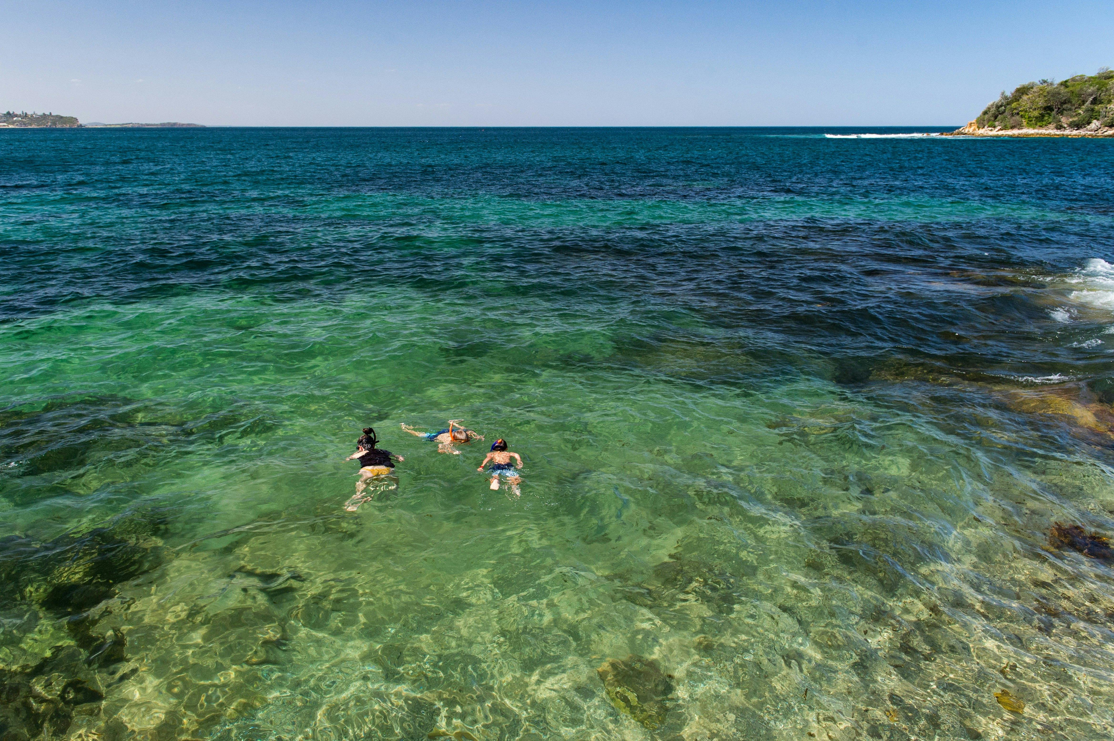 Snorkeling Cabbage Tree Bay