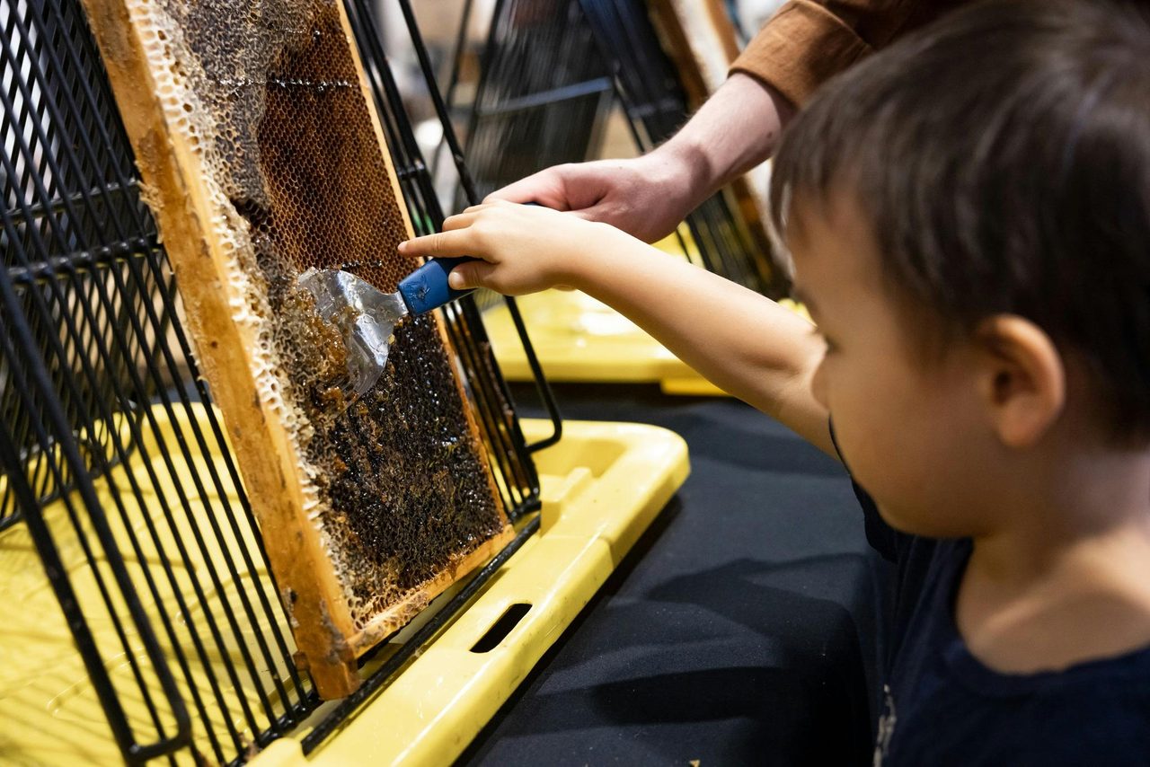 Carriageworks Farmers Market Bee Workshop