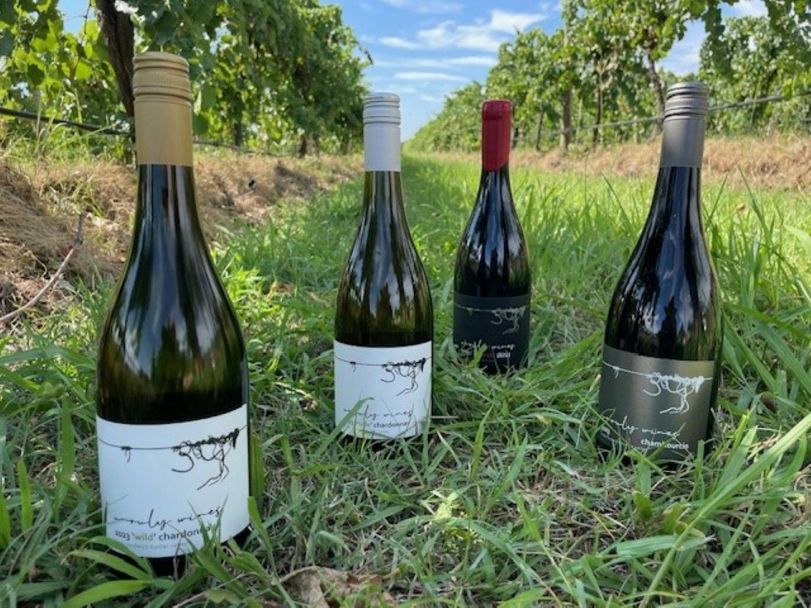 Single vineyard hand crafted Unruly Wines hanging in the vineyard