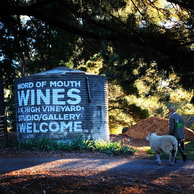 Word of Mouth Wines