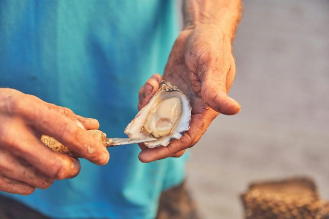 The Farm Gate and Oyster Shed on Wray Street