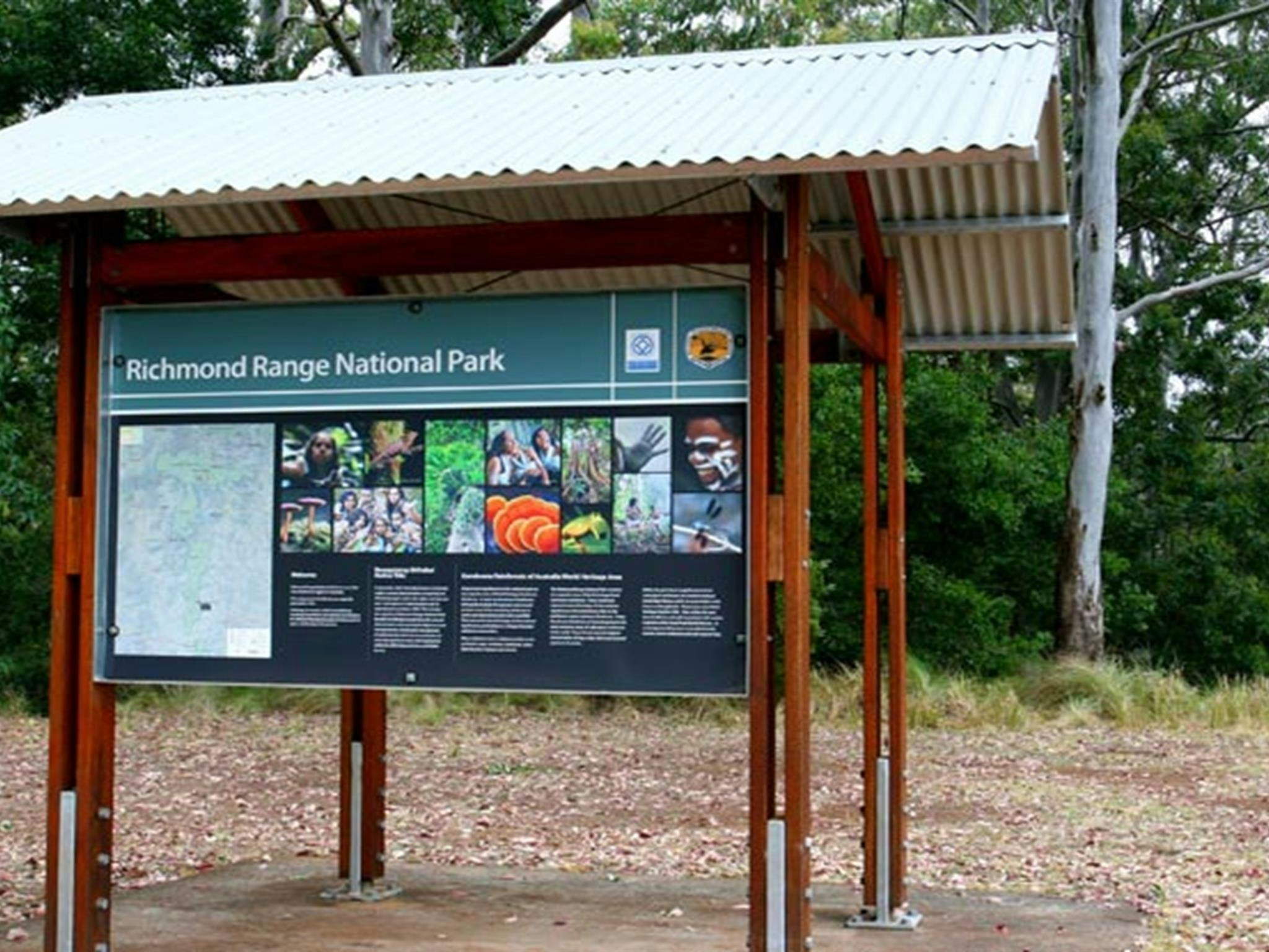Cambridge Plateau Picnic Area, Richmond Range National Park. Photo: J Atkins/NSW Government