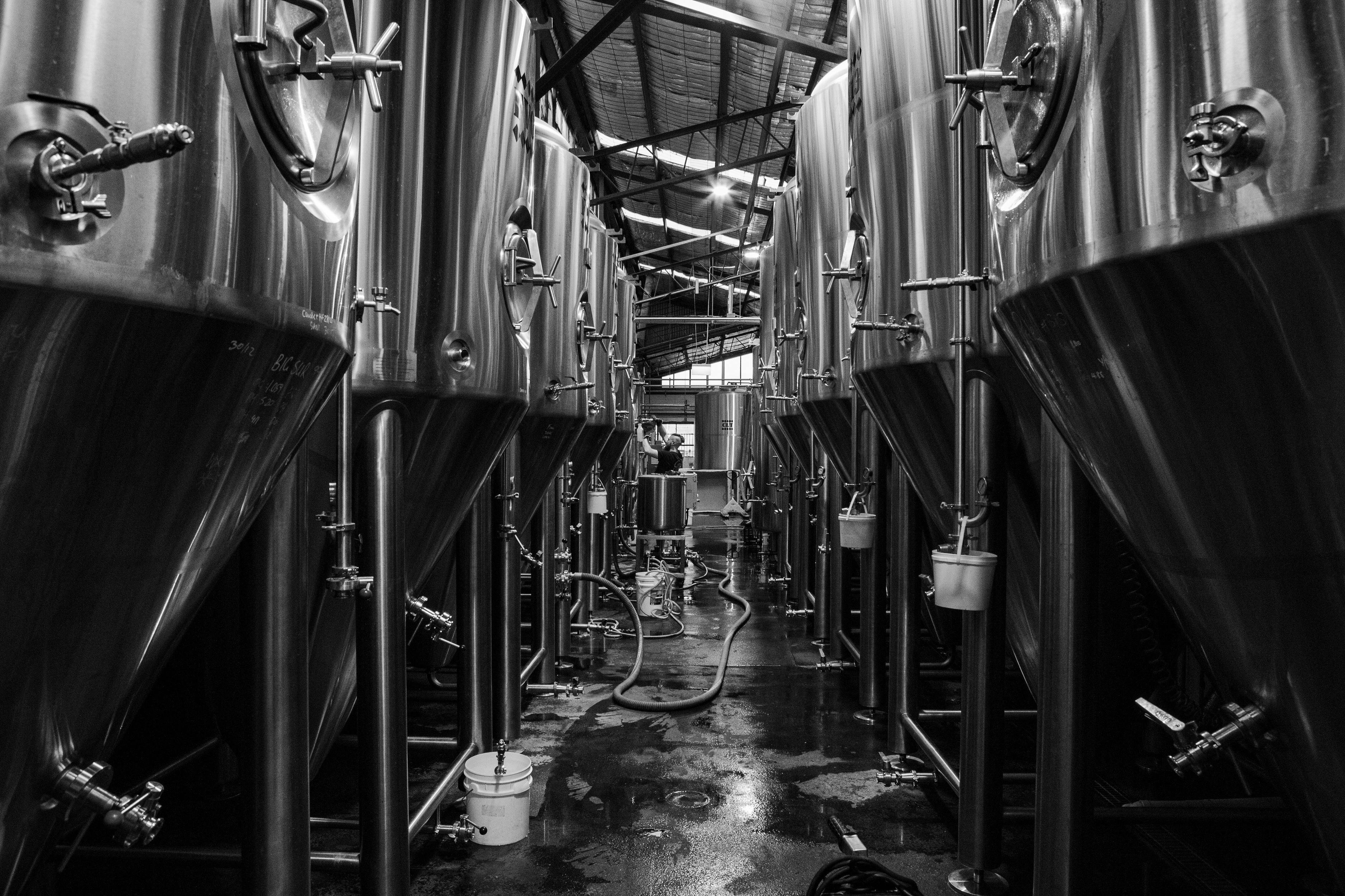 The Grifter Brewing Co