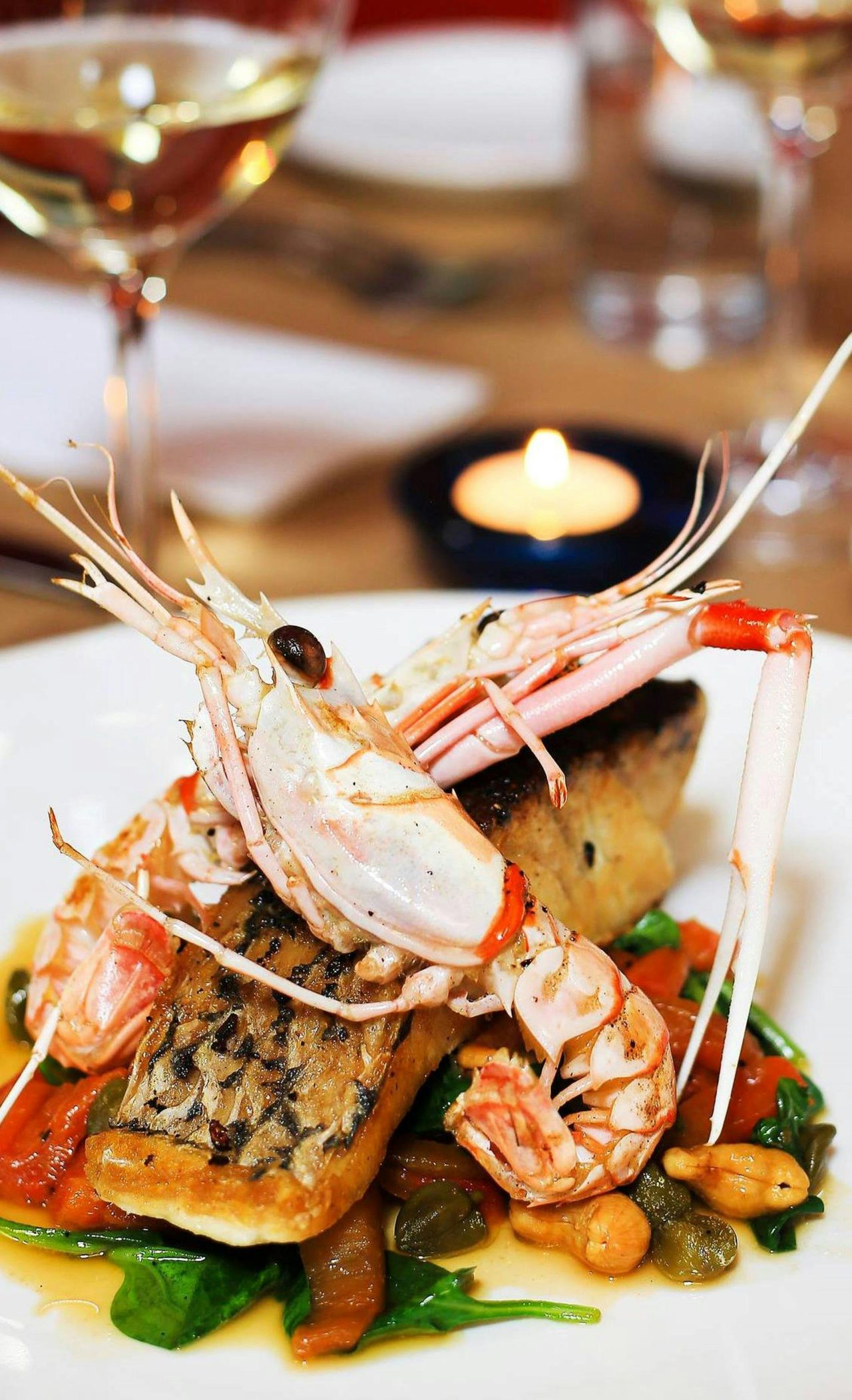Barramundi