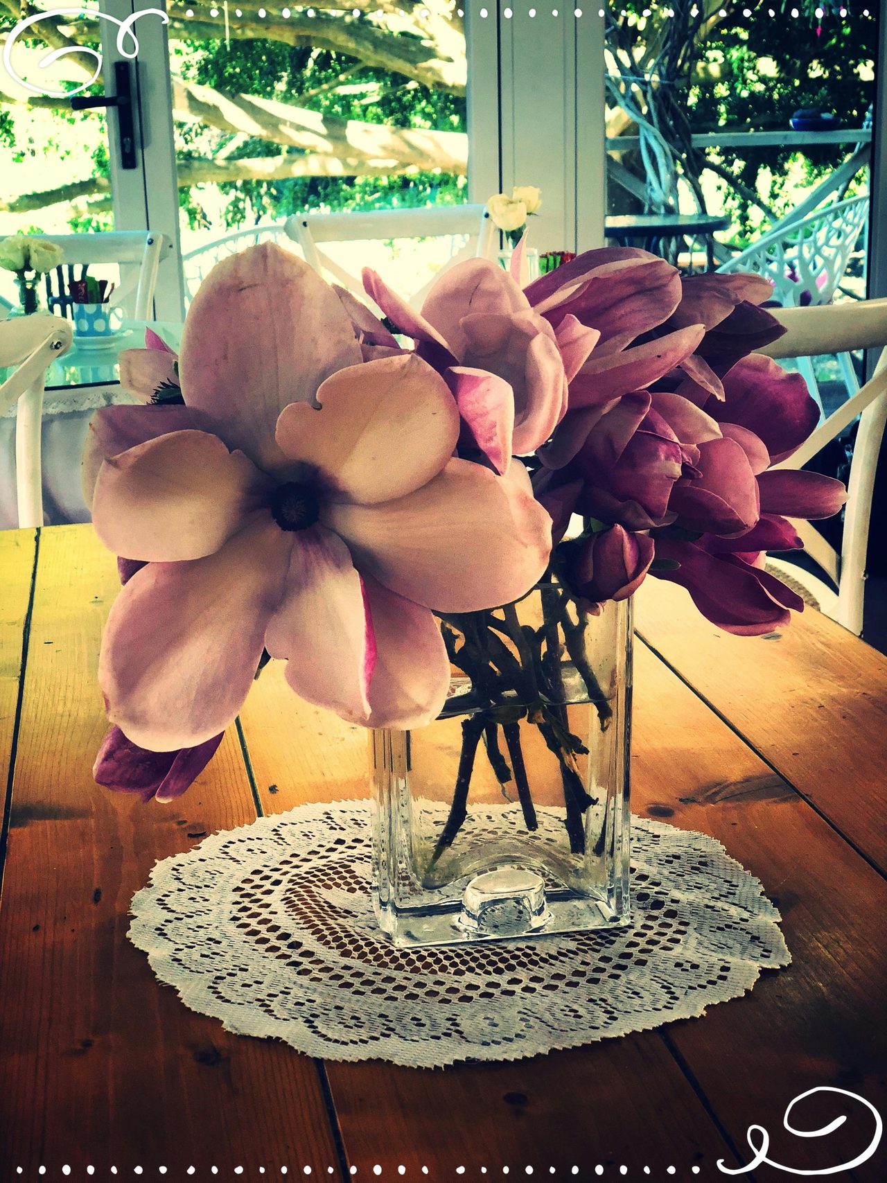 Magnolia Season