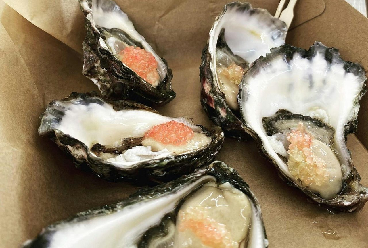 oyster