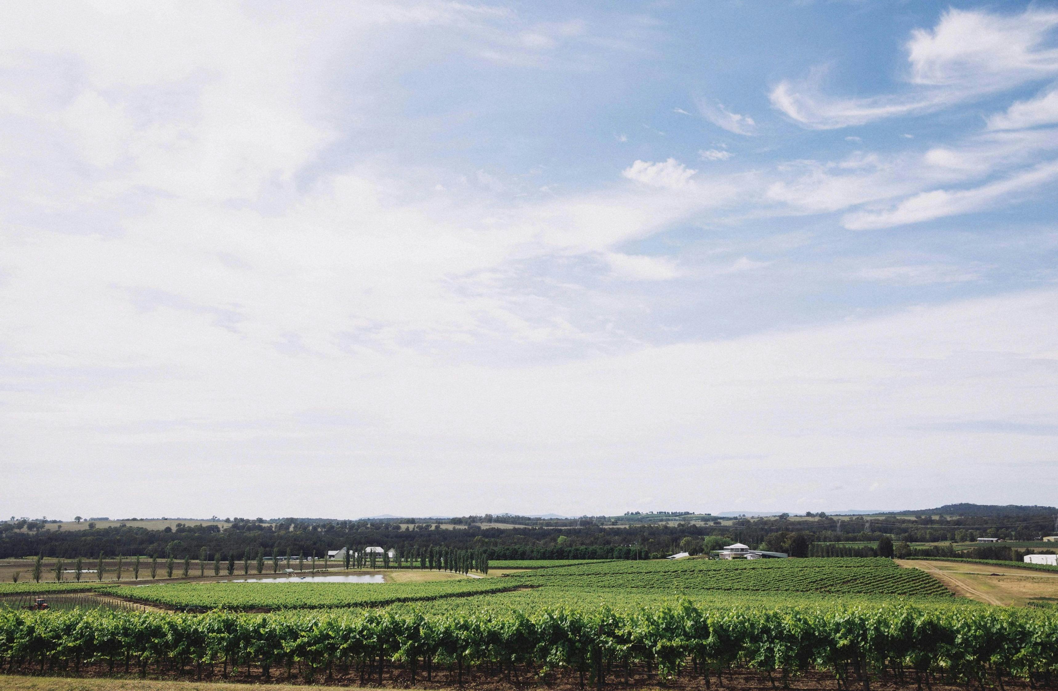 The View From The Mill Restaurant