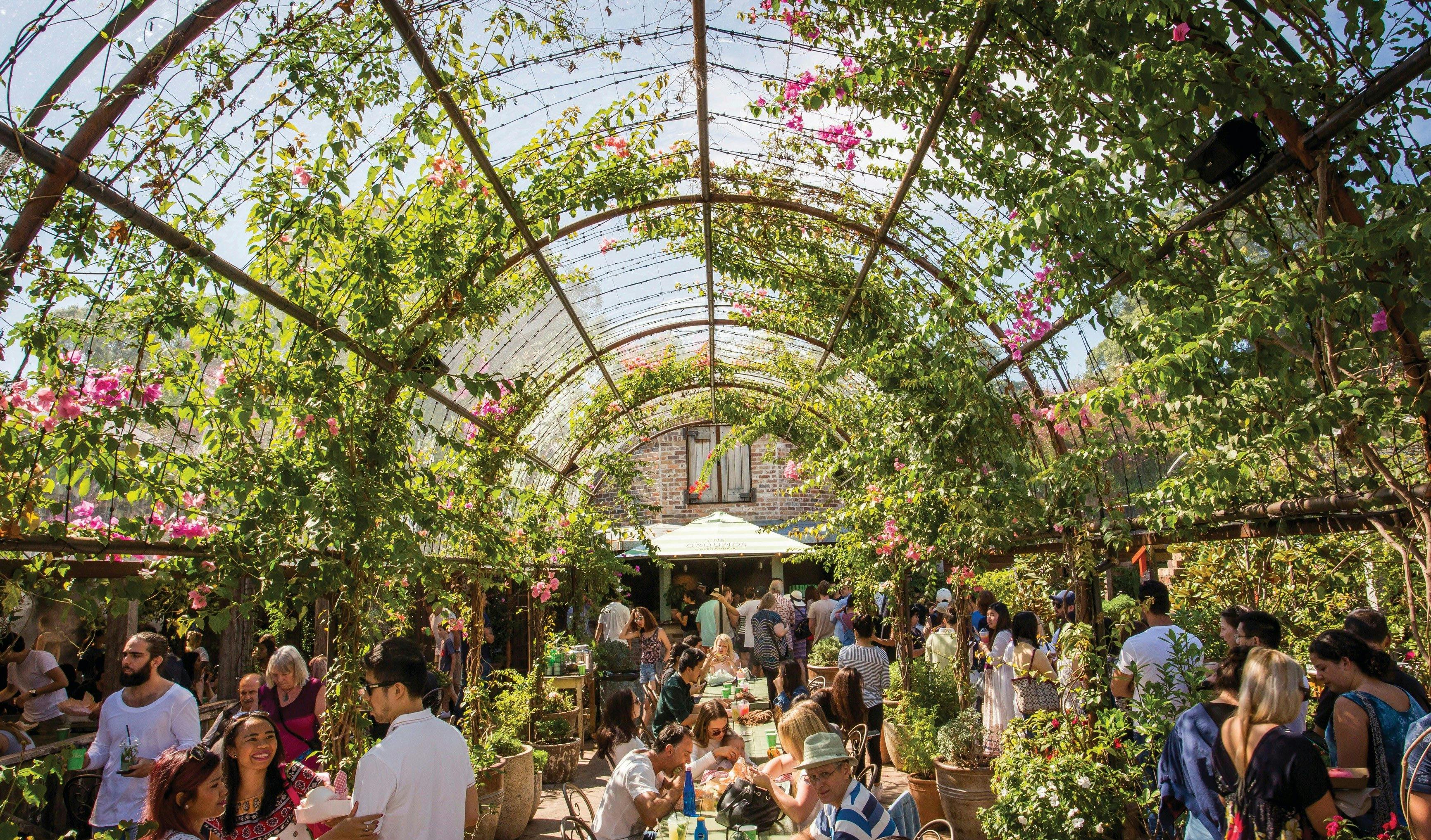 The Grounds of Alexandria