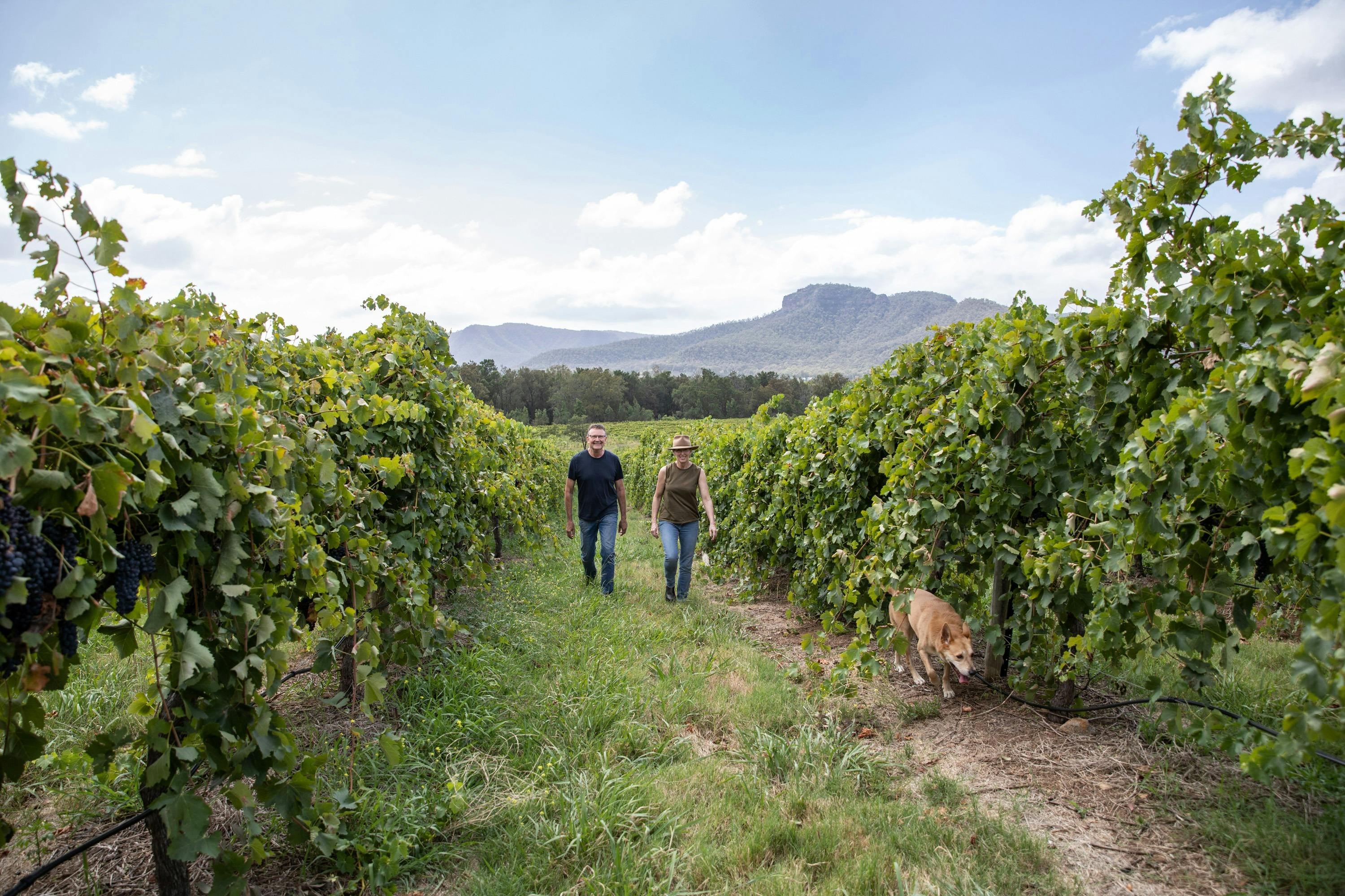 Winemakers Ian & Suzanne Little