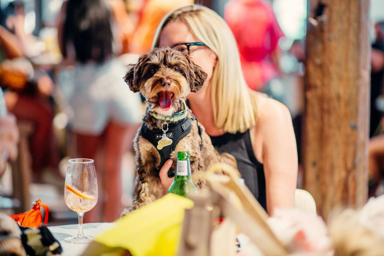 Dog friendly