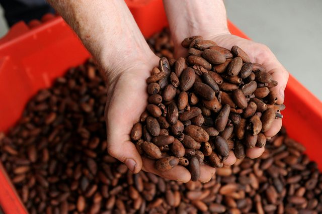 Zokoko Chocolate and Espresso Cafe