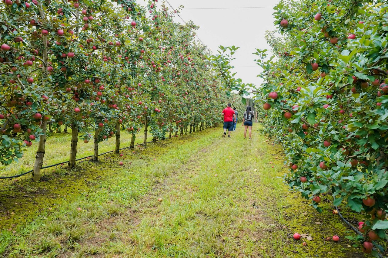 TNT Produce