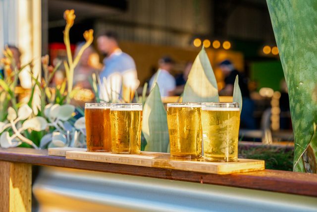 Woolgoolga Brewing Co.