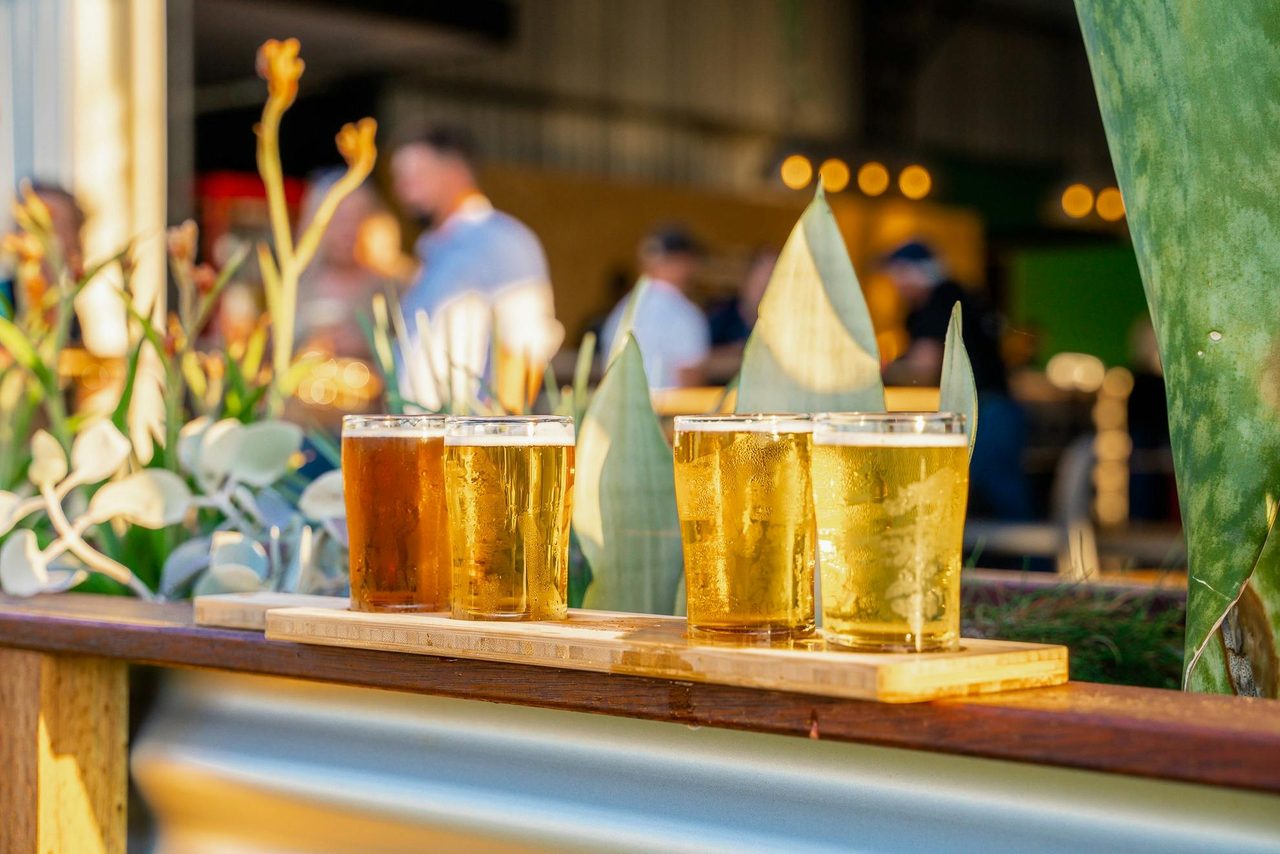 Tasting paddles ready to go!