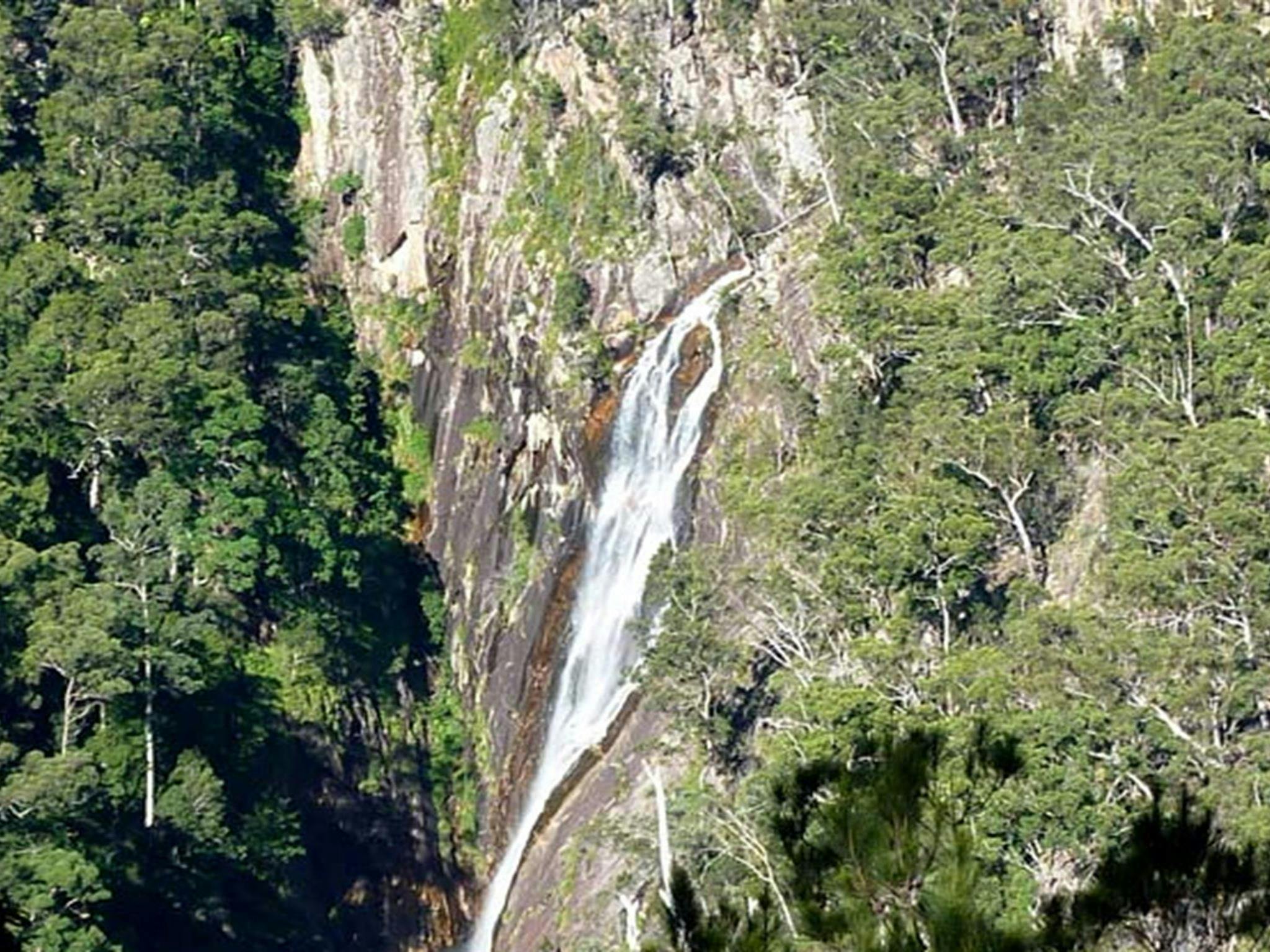 Daisy Plains huts, Carrai National Park. Photo: NSW Government