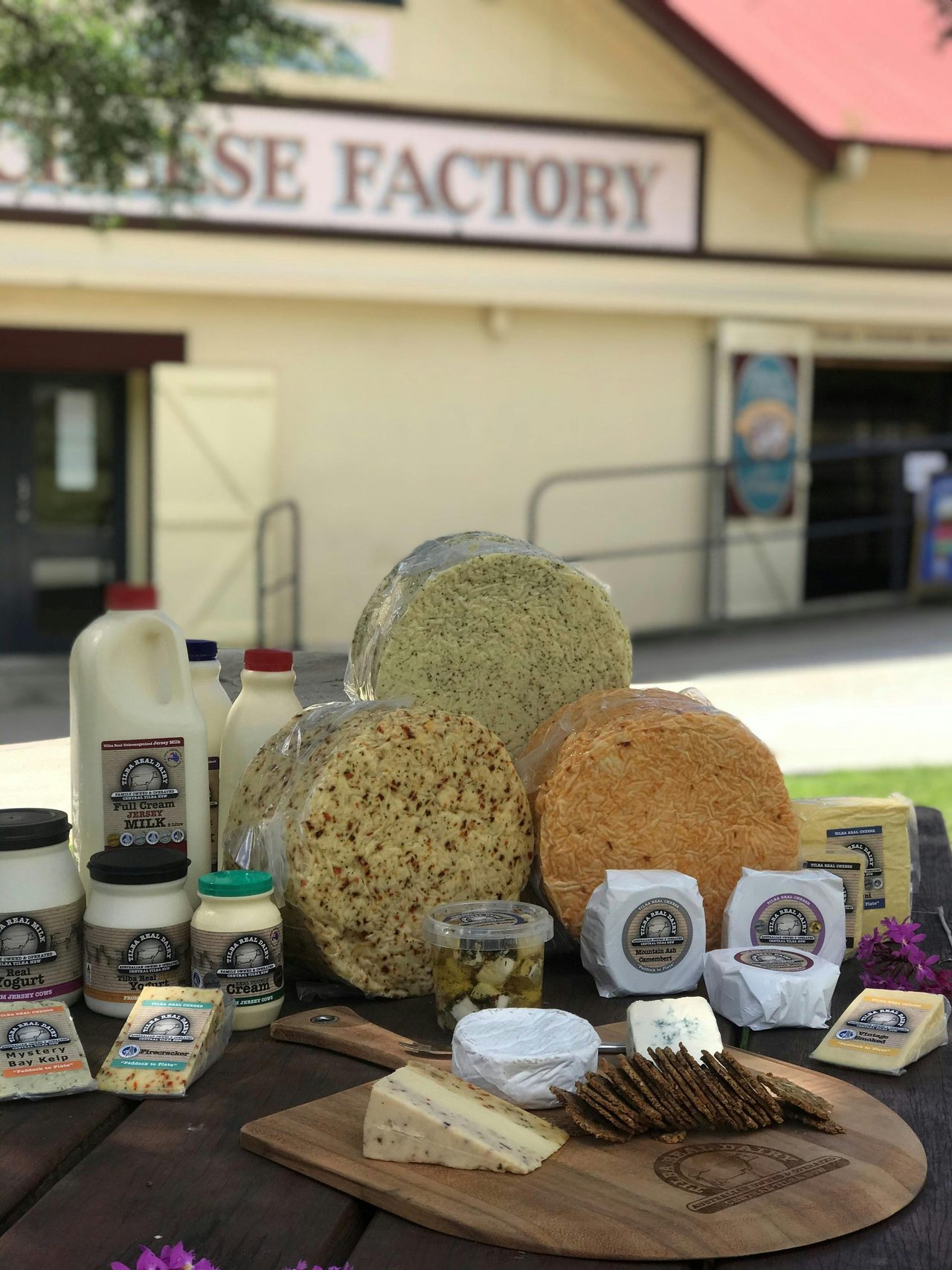 Tilba Real Dairy and Cheese products