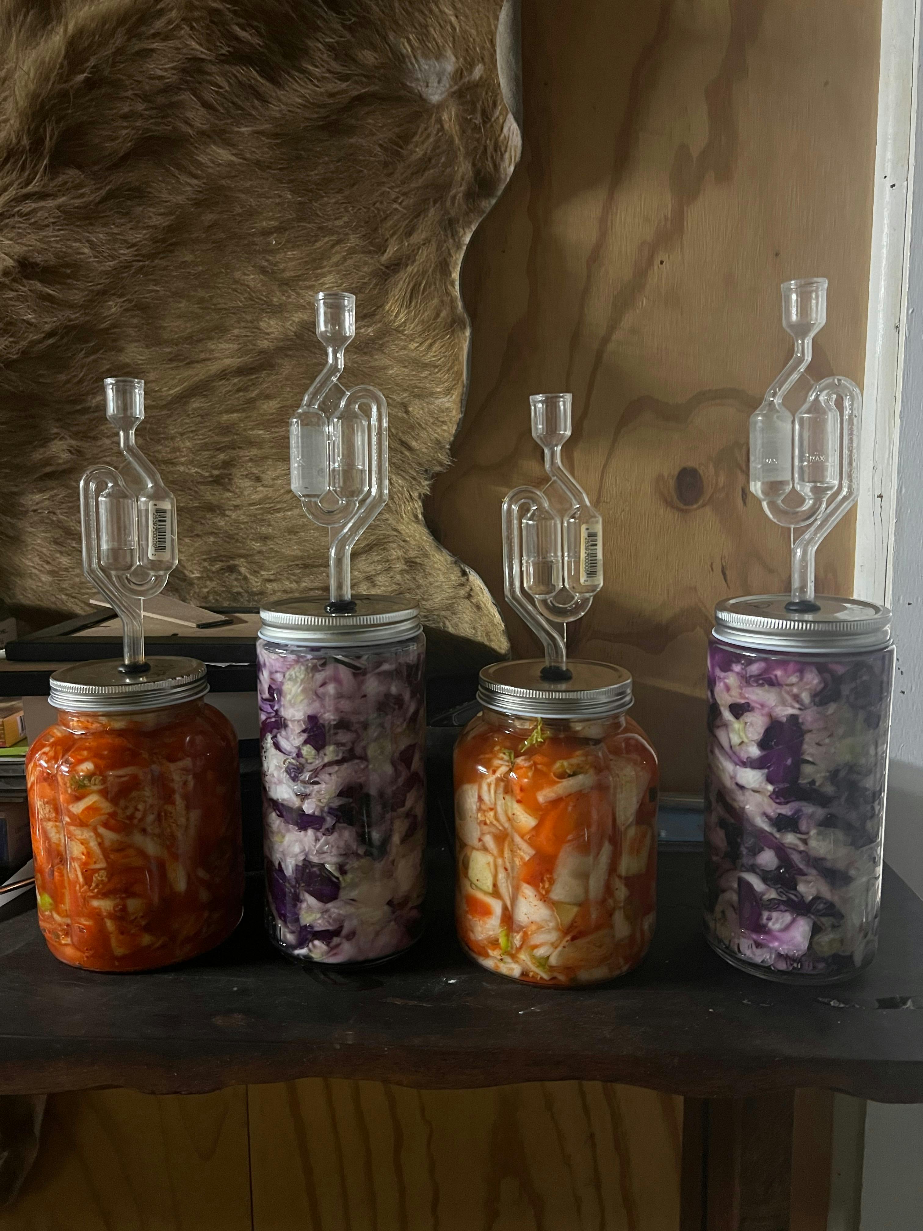 Uprising Fermentation Workshop