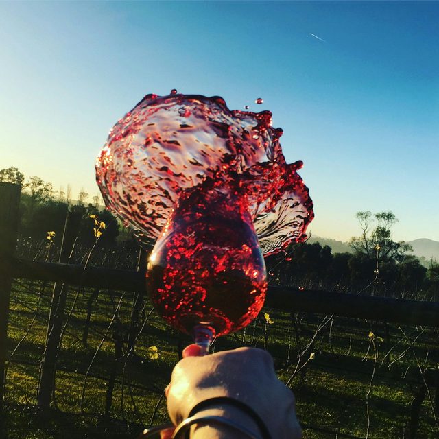 Tranquil Vale Vineyard