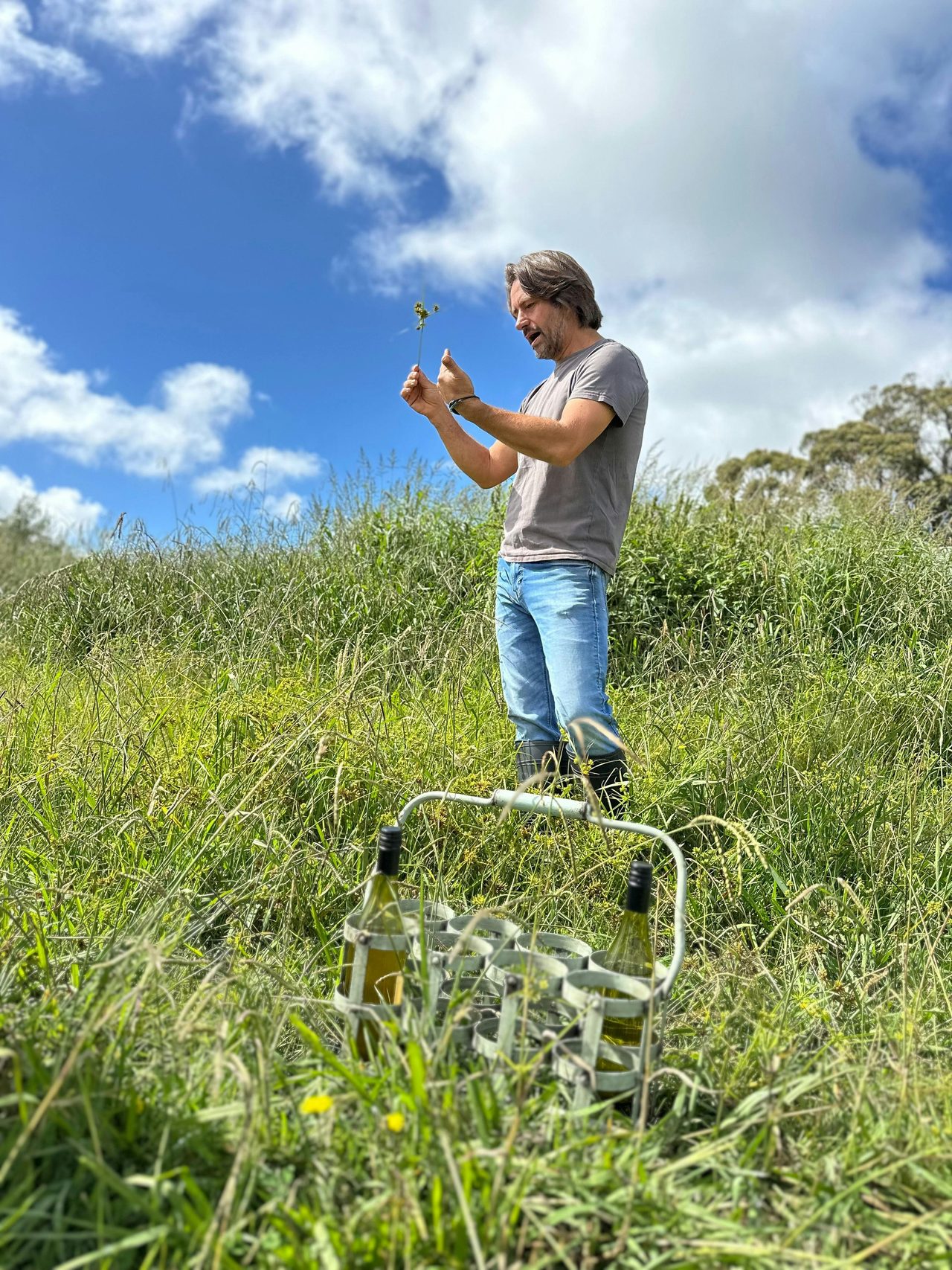 Describing the benefits of regenerative farming