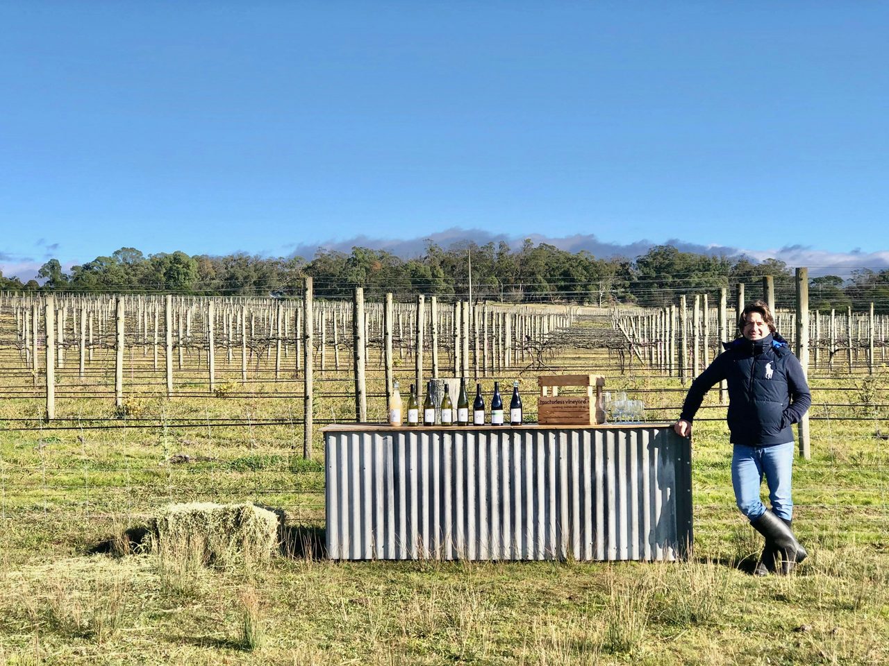 Winter tasting in the vines