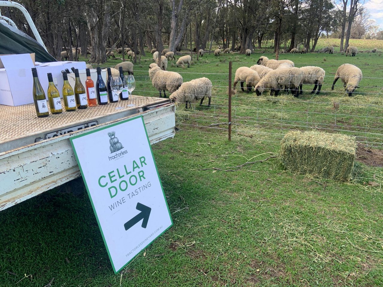 Off the back tasting in the vineyard