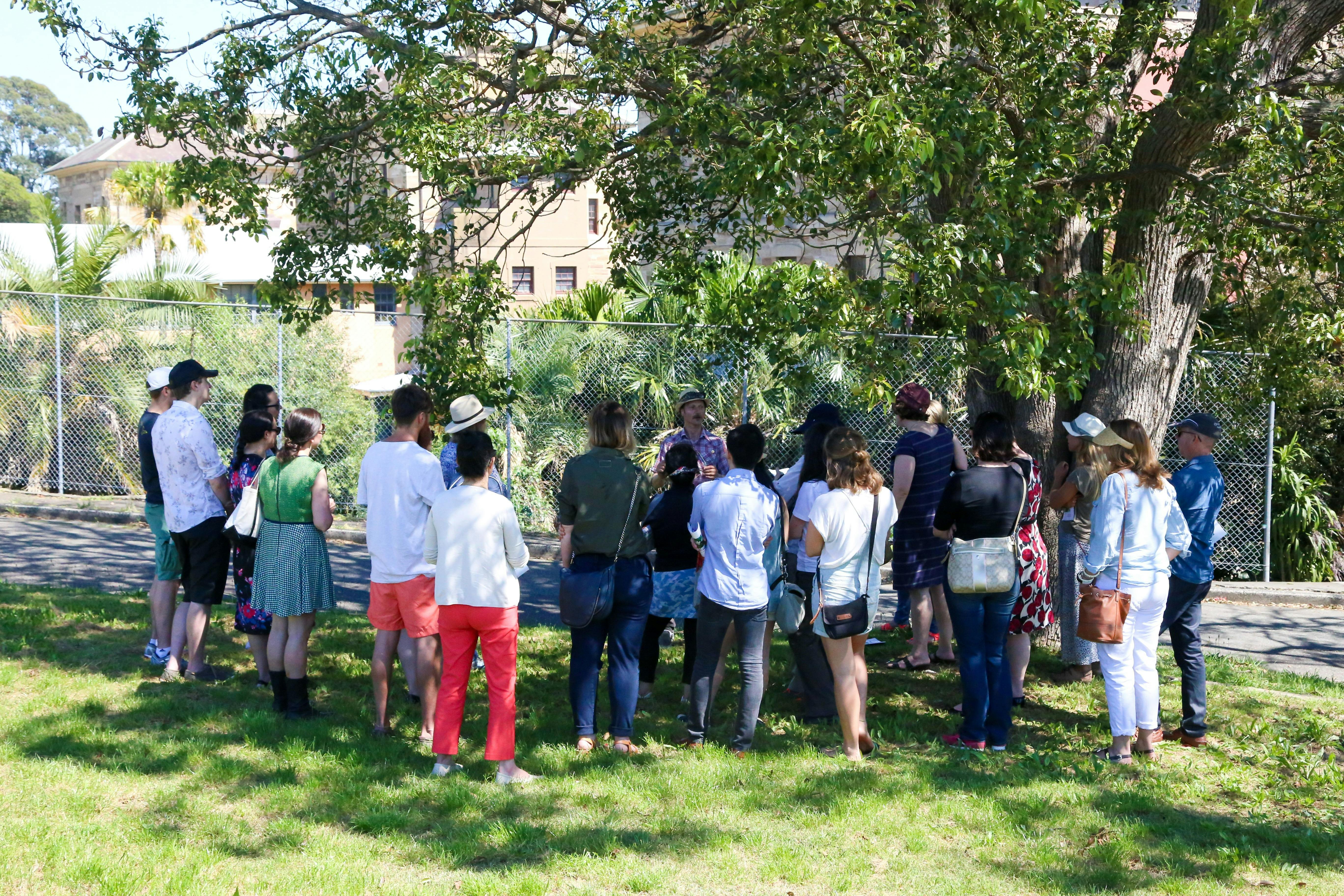 a group of people learning about wild edible foods