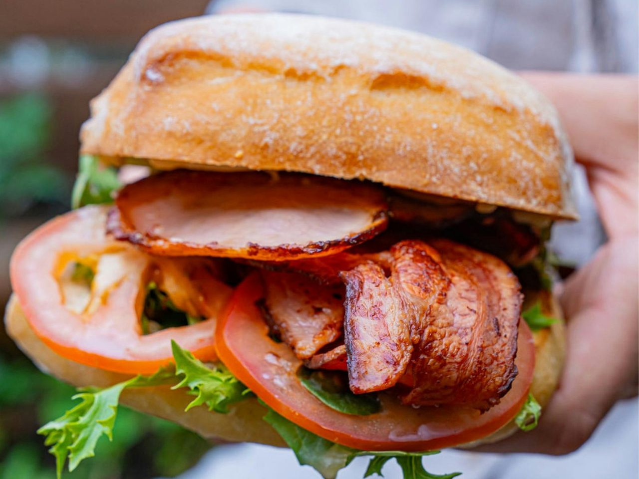 BLT at Toast Eden