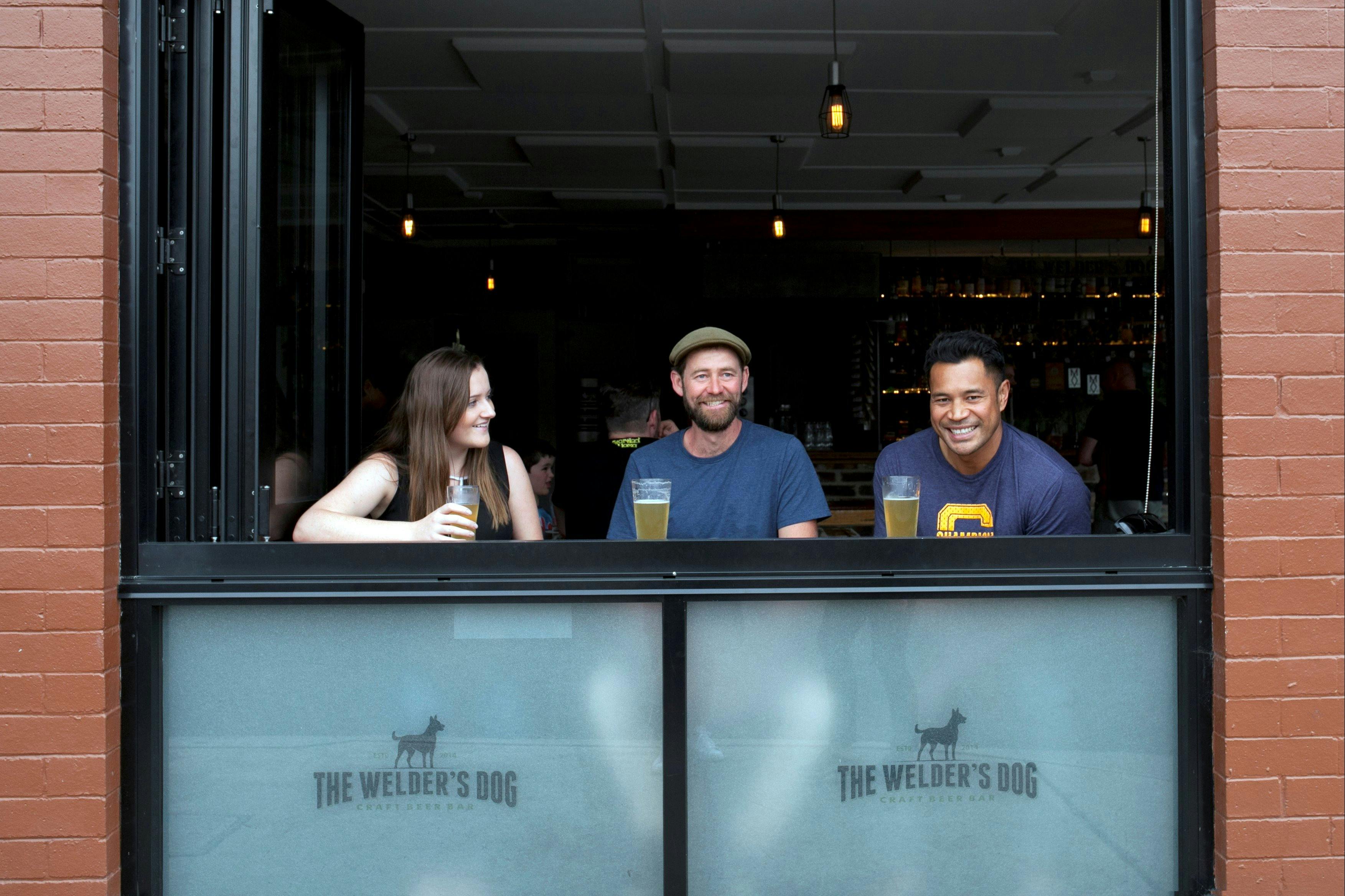 Welders Dog Window Seats