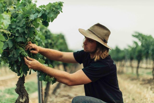 Vinden Wines