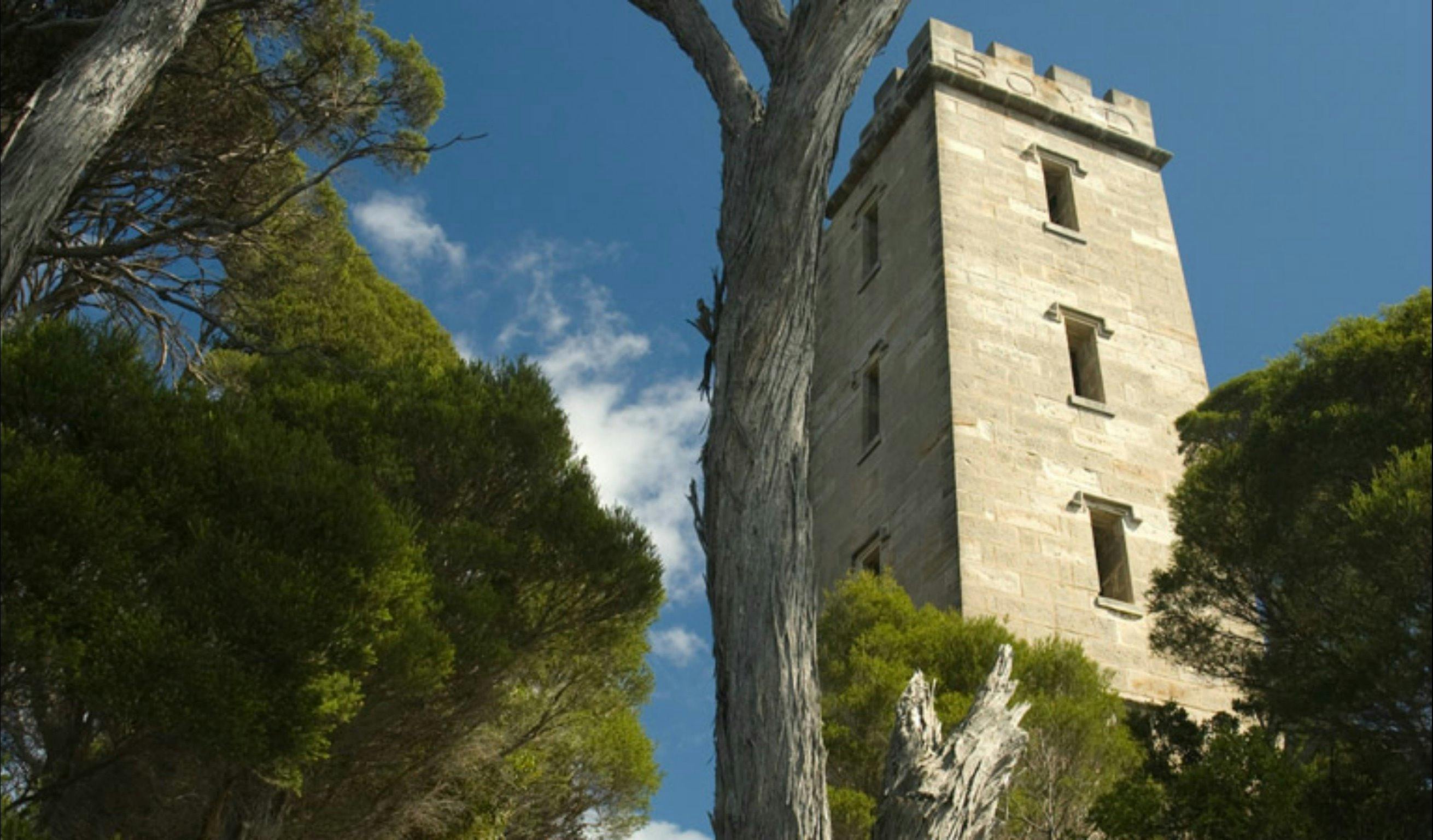 Boyds Tower walking track
