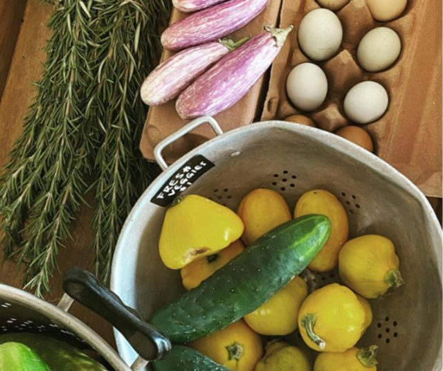 The Olde General Store