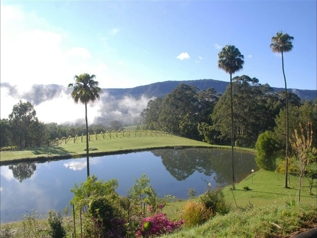 Yarrawa Estate
