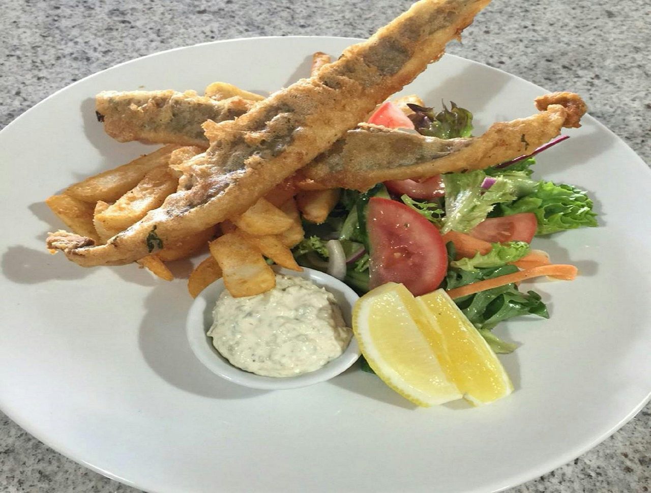 fish