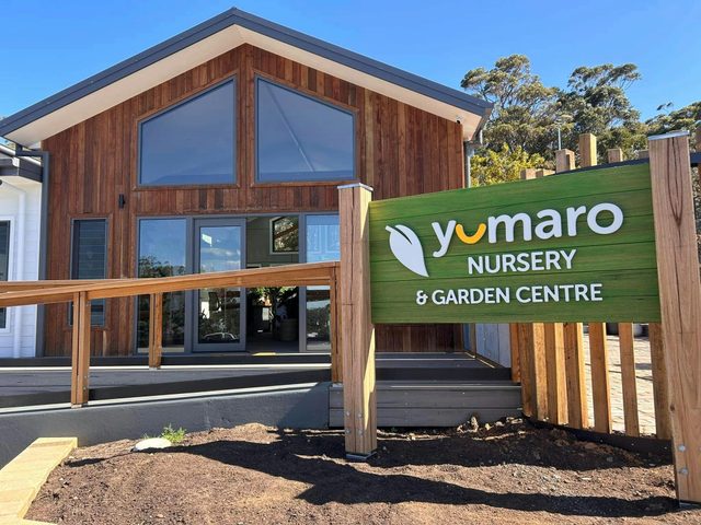 Yumaro Nursery and Cafe