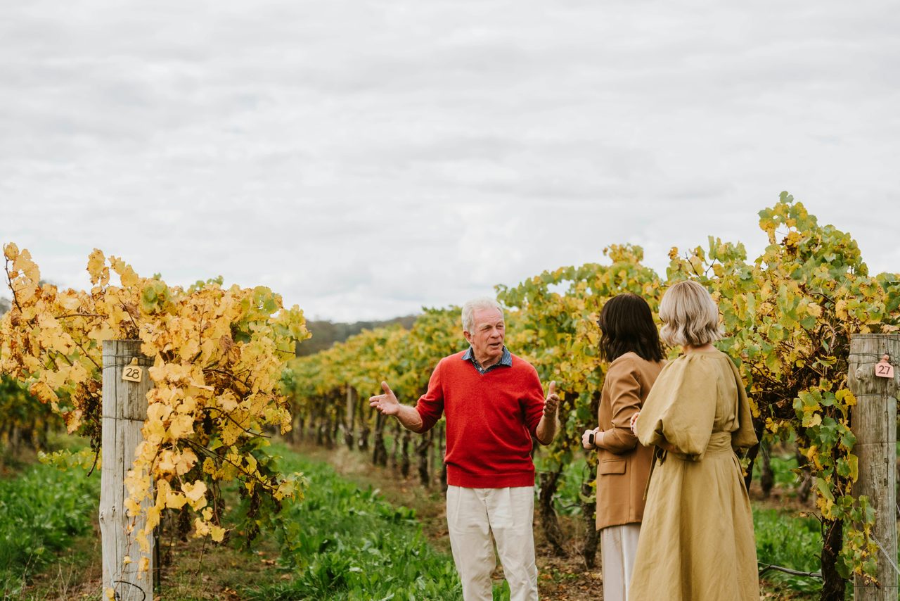 Vigneron Experience with Richard de Beaurepaire
