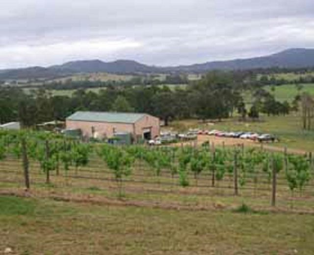 Villa d Esta Vineyard