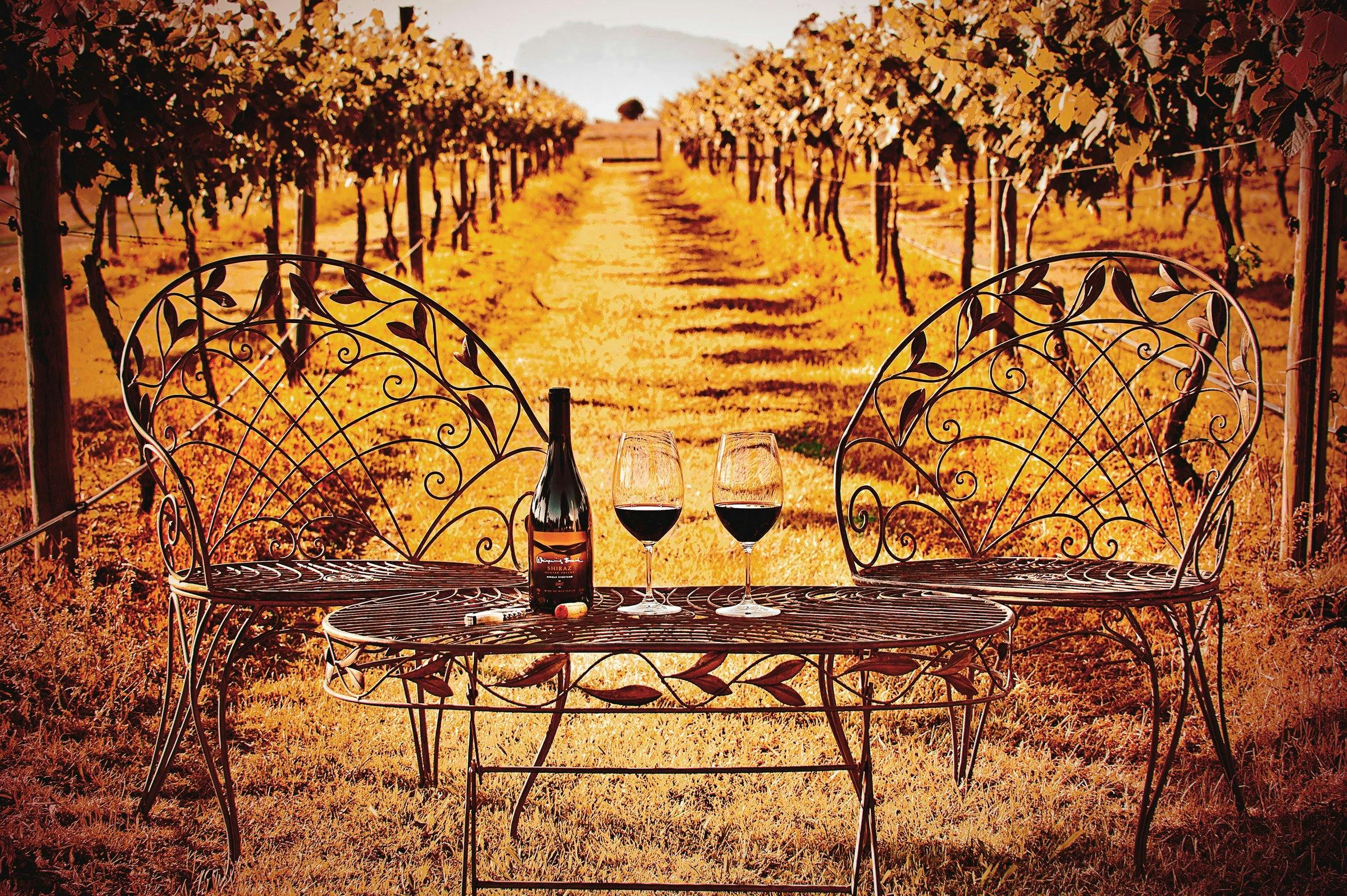 Artisan wine and experiences